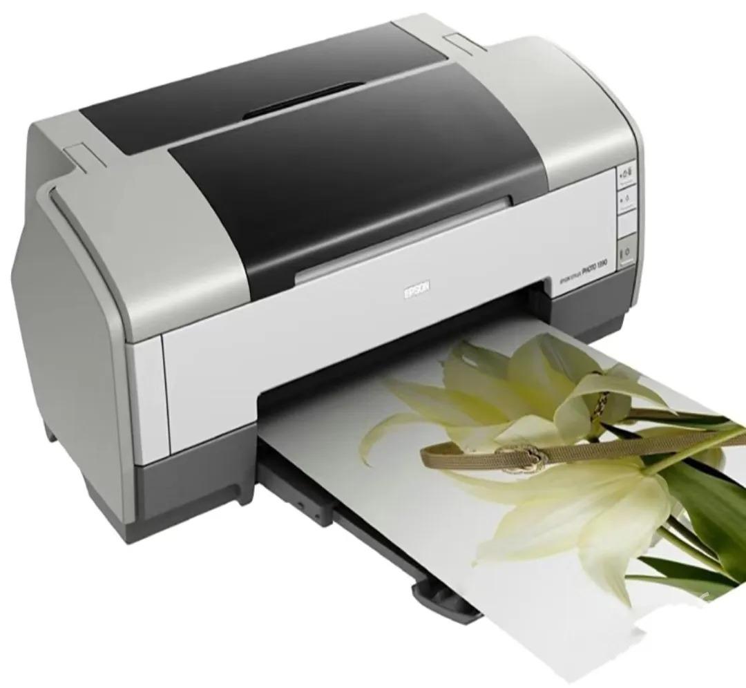 Epson 1390 - Mary - img 1