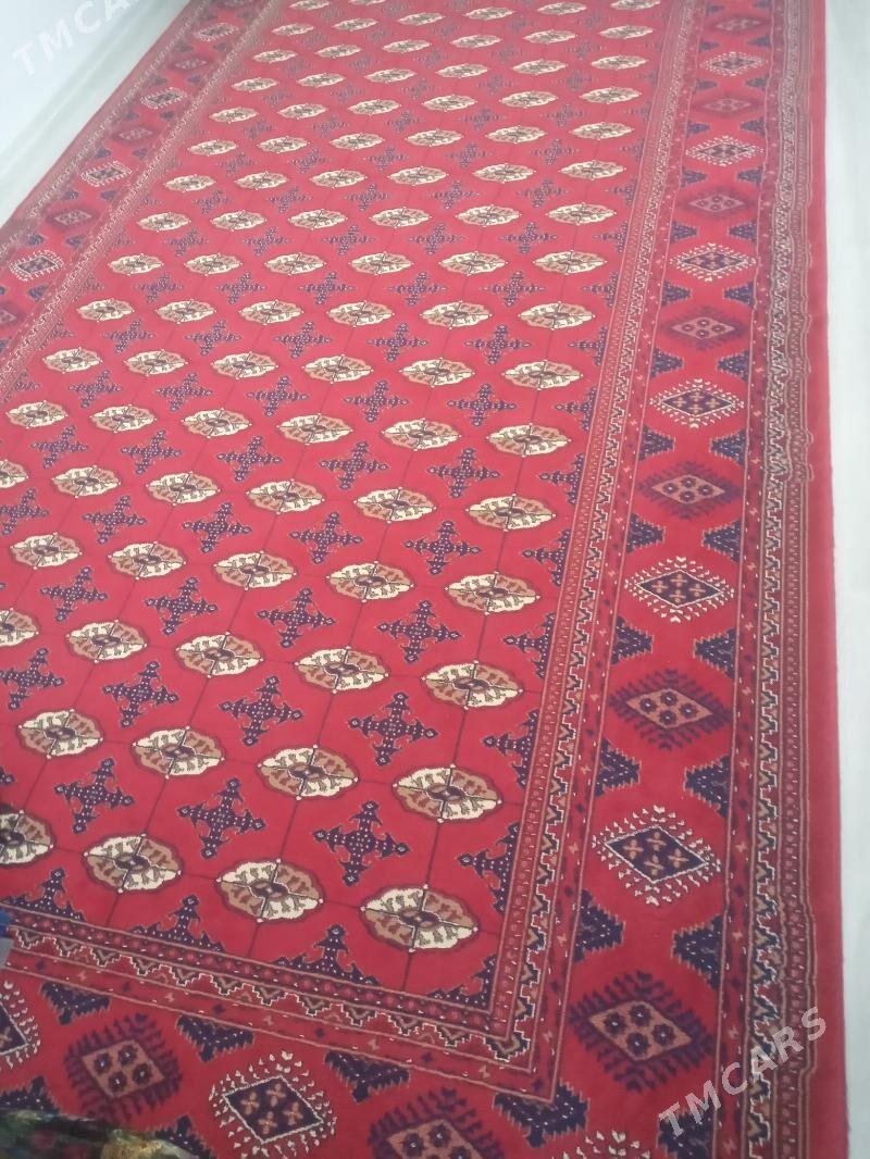 haly turkiñki - Türkmenbaşy - img 1