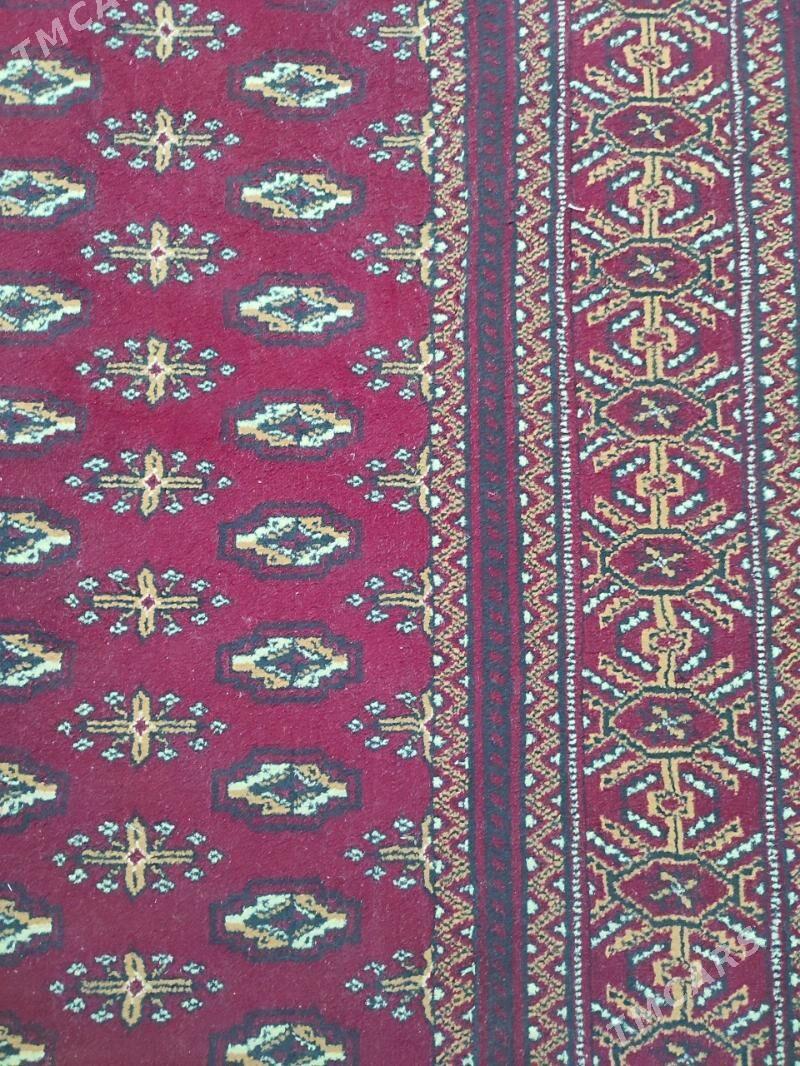 Haly - Болдумсаз - img 1