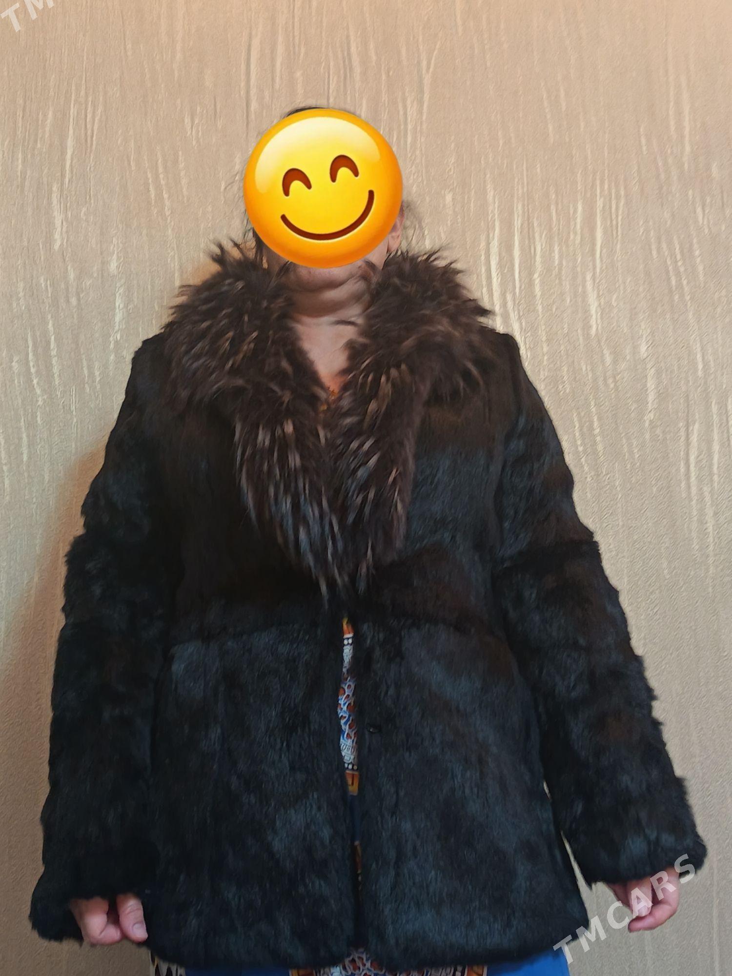 Şuba - Aşgabat - img 1