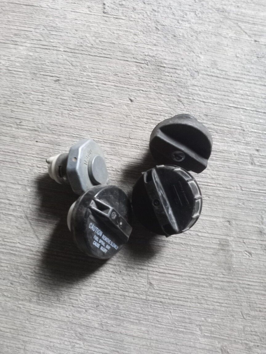 Bak krişkalar 50 TMT - Çoganly - img 1