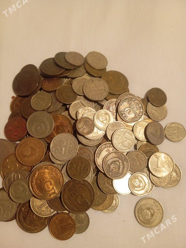 teňňe - Kaka - img 1