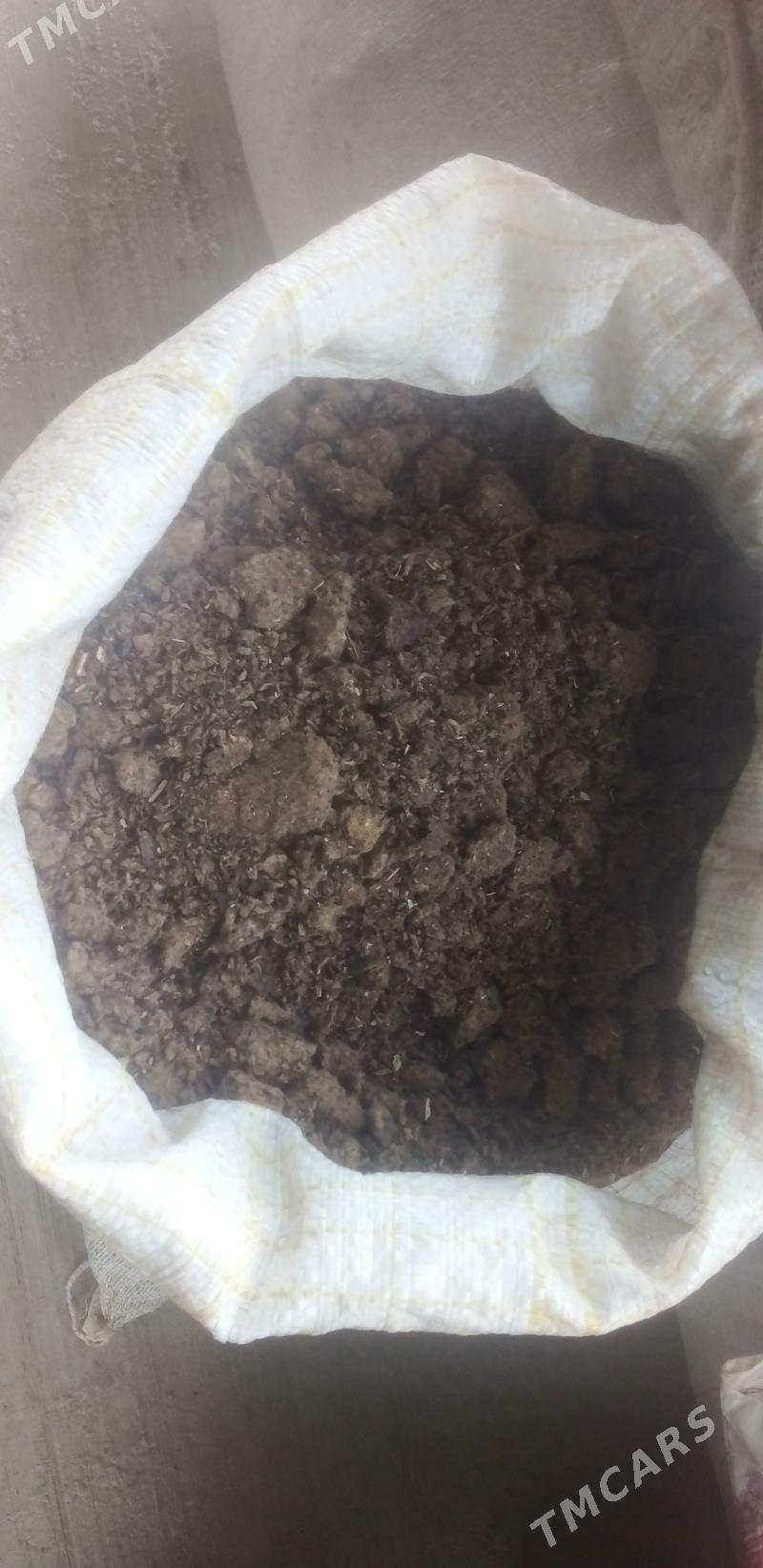 sarun - Бахарден - img 1