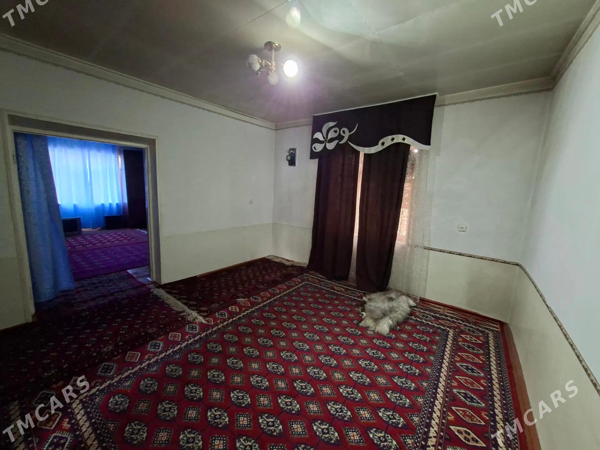 Arenda jay - Mary - img 1