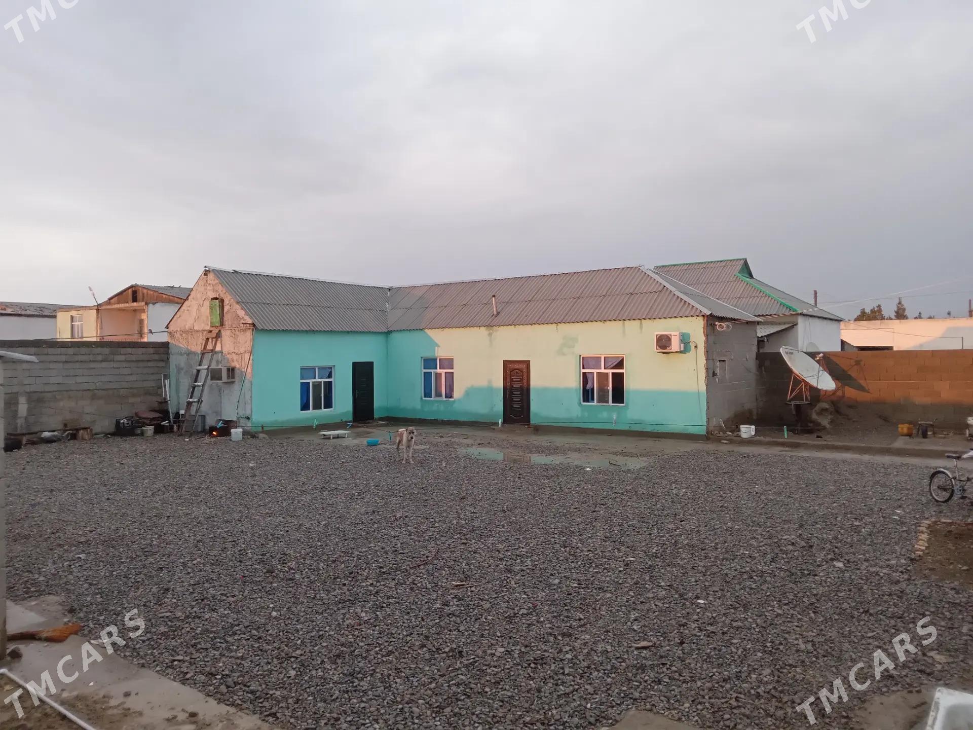 satlyk jay - Ýaşlyk - img 1