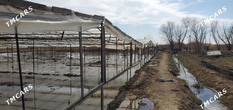 ParnikPARNIK ( TEPLISSA) - Мургап - img 1