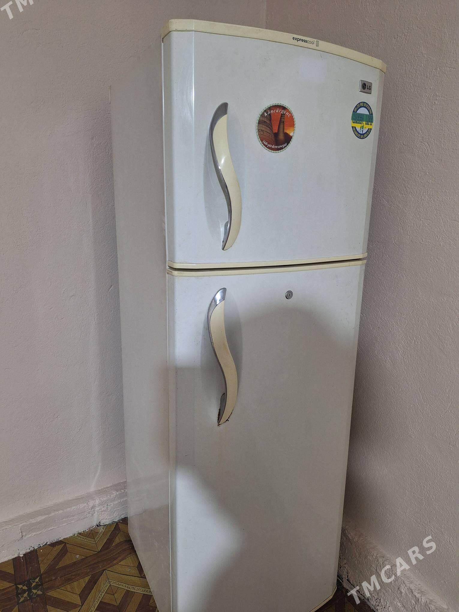 Holodilnik - Анев - img 1