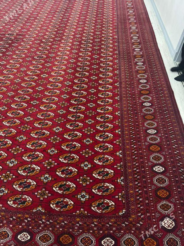 el haly 5/7 - Ak bugdaý etraby - img 1