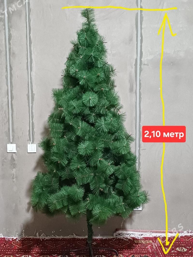 Ýolka Ёлка - Daşoguz - img 1