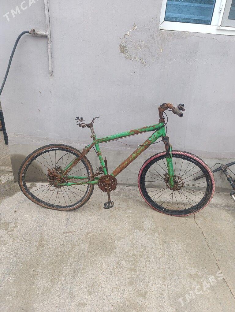 tigir - Гарадамак - img 1