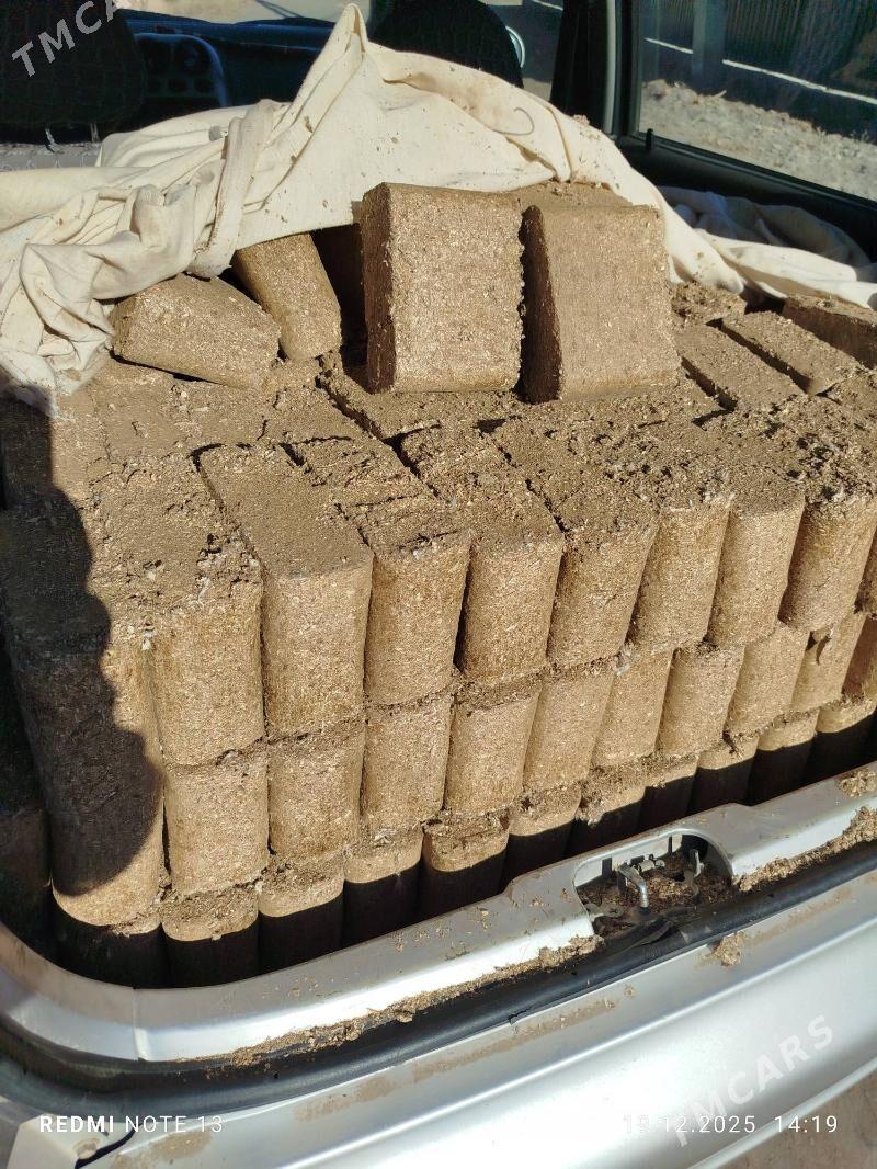 mal goyun iym - Daşoguz - img 1