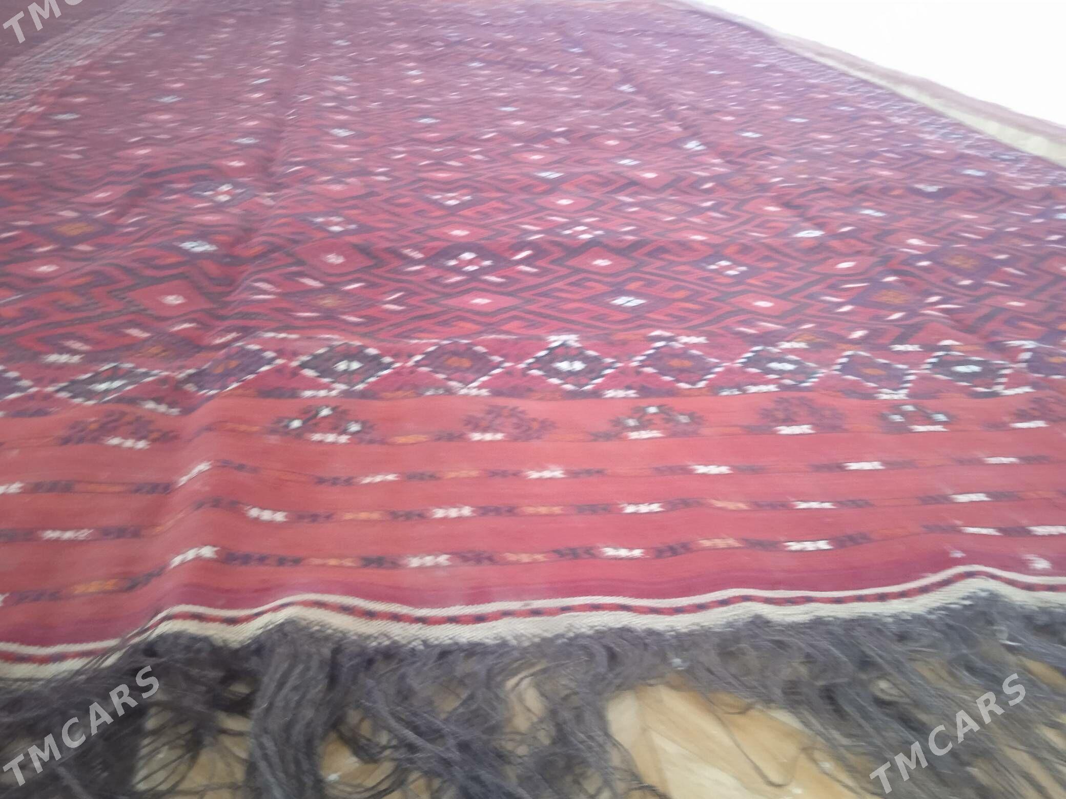 Gadym palas - Etrek - img 1