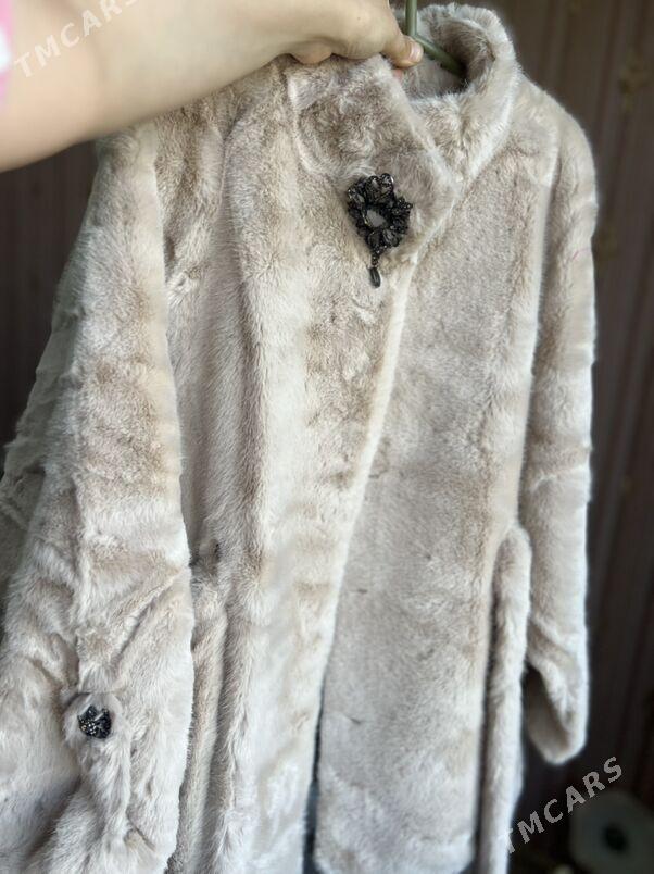 shuba - Balkanabat - img 1