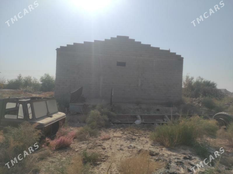 jaù sklat - Tejen - img 1