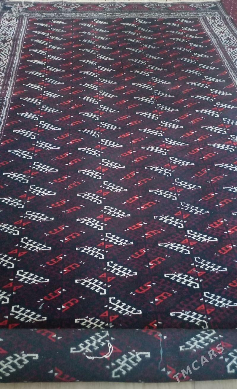 sep haly - Türkmenbaşy - img 1