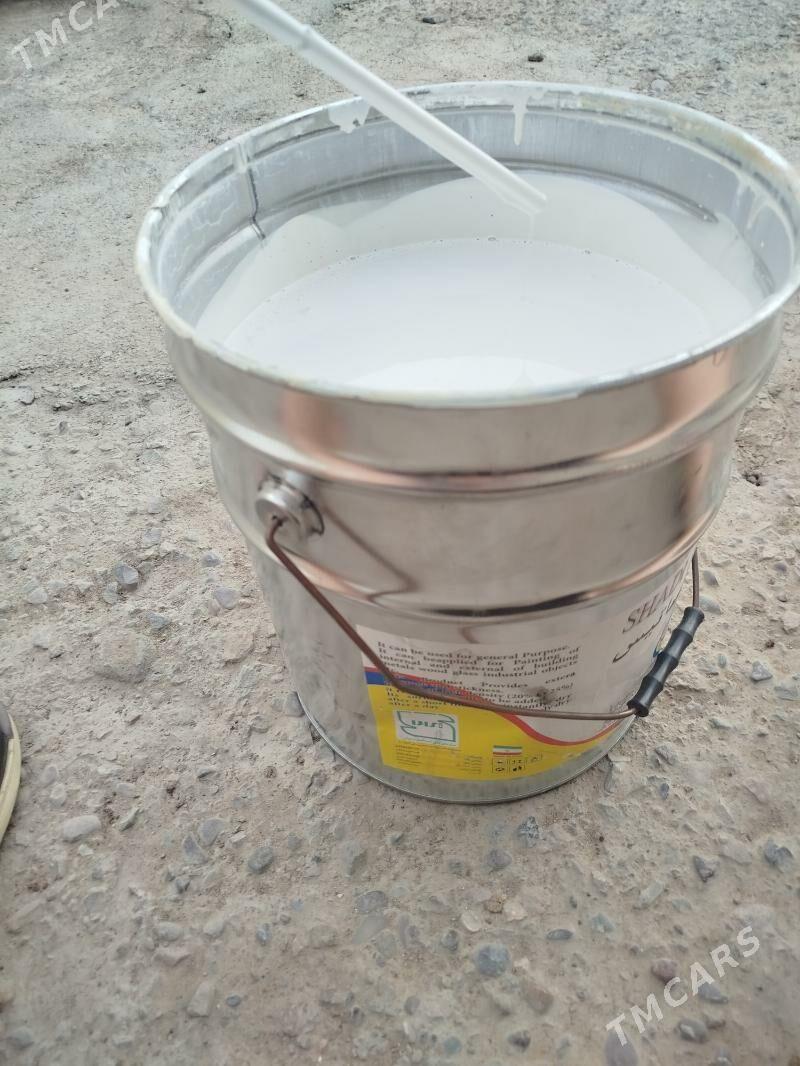 Ak kraska eyranynky - Mary - img 1