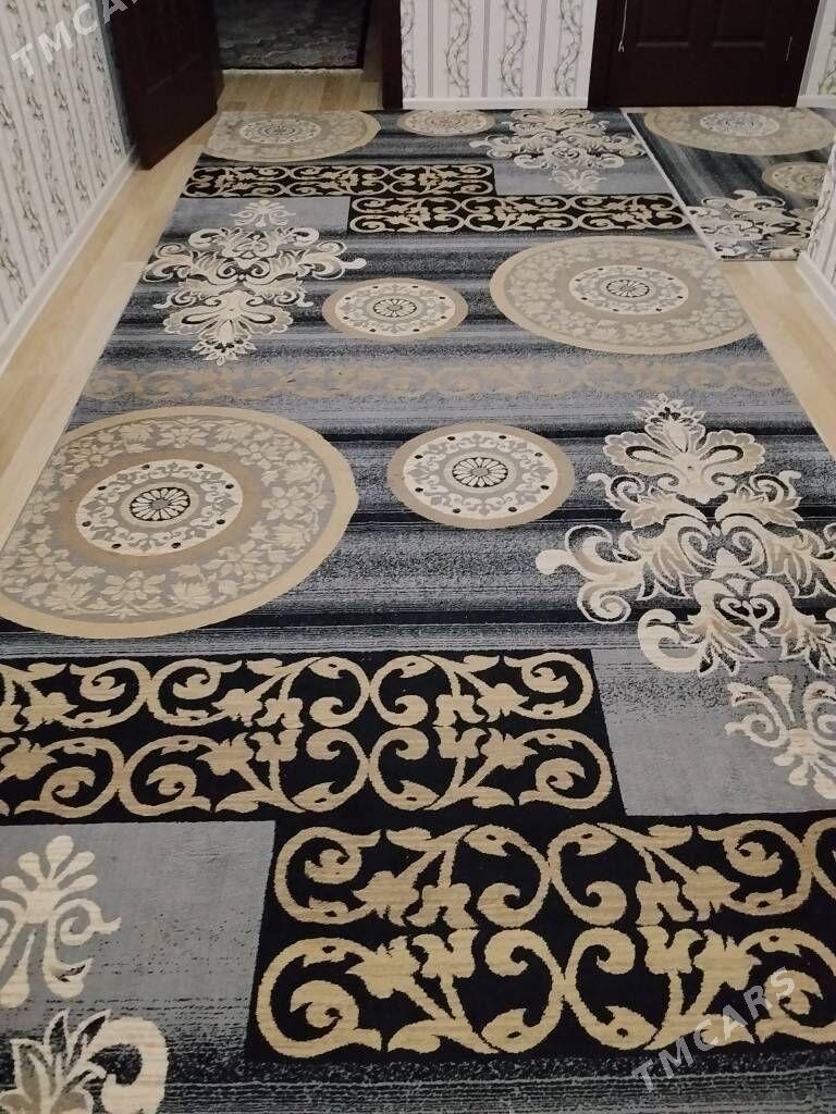 haly - Jebel - img 1