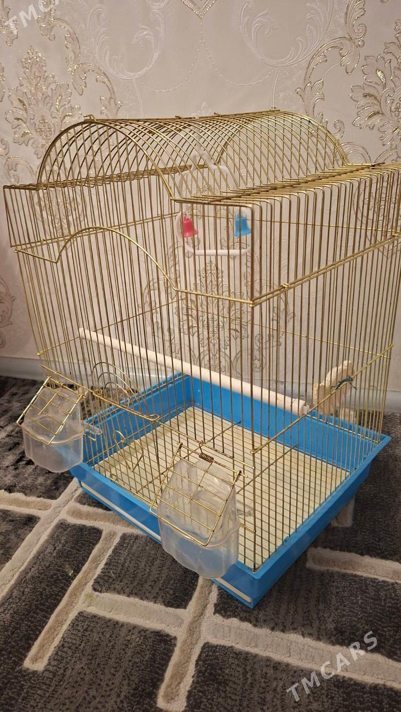 клетка для попугаев - Aşgabat - img 1