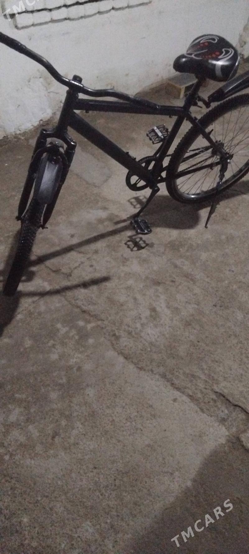 tigir - Gökdepe - img 1