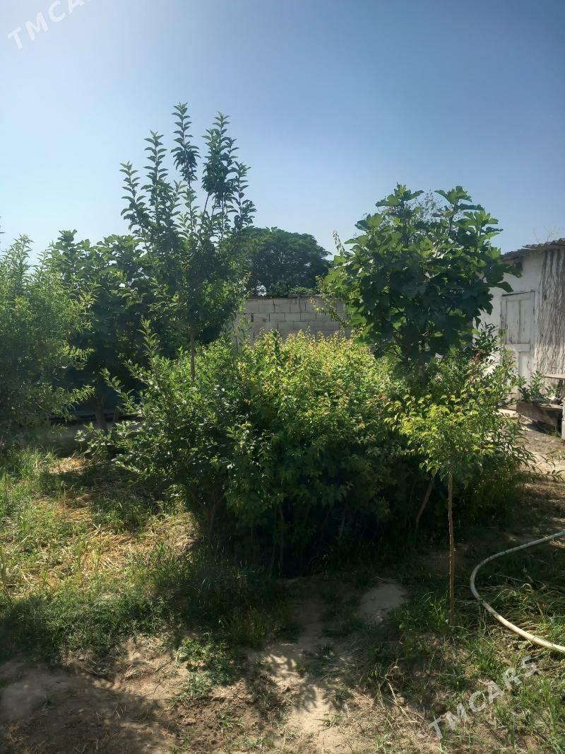 Erik Bag 3 nji yyly - Köşi - img 1