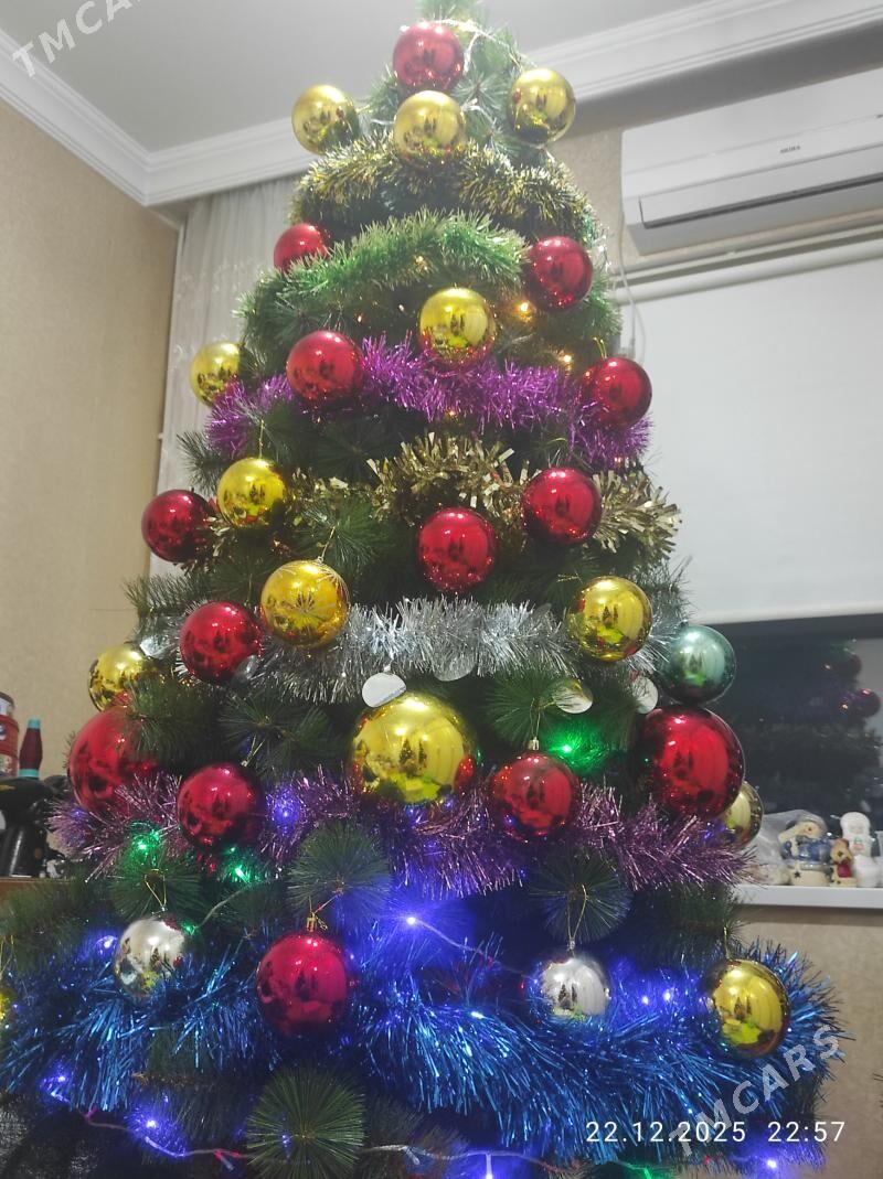 Ёлка высота 2.30. yolka - Ашхабад - img 1