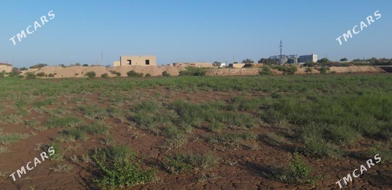 Учаска ер - Daşoguz - img 1