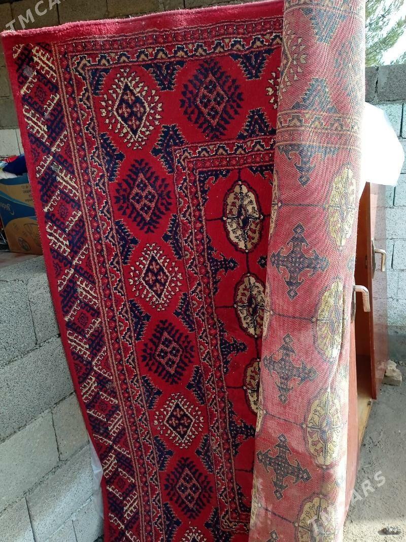 Haly - Мургап - img 1