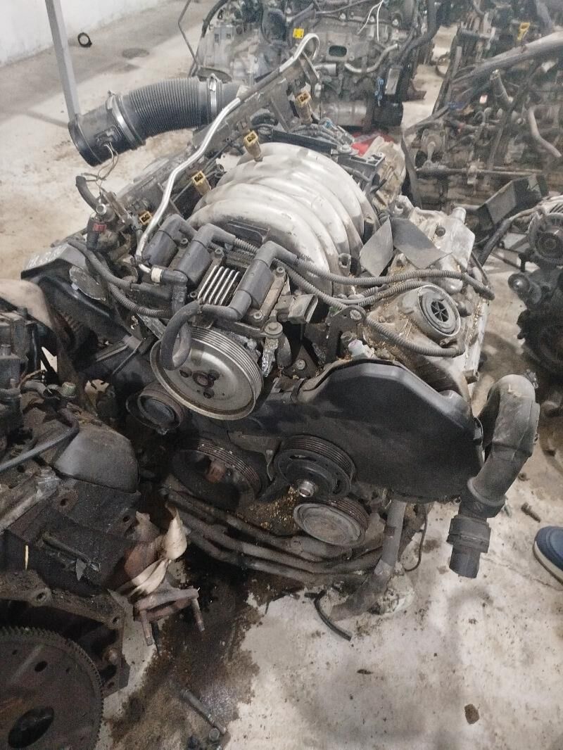 mator audi 1 000 TMT - Mary - img 1