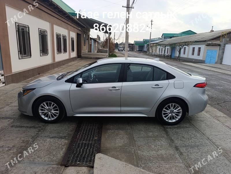 Toyota Corolla 2020 - 270 000 TMT - Türkmenabat - img 1