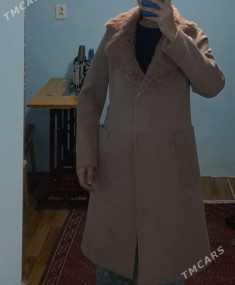 palto - Balkanabat - img 1