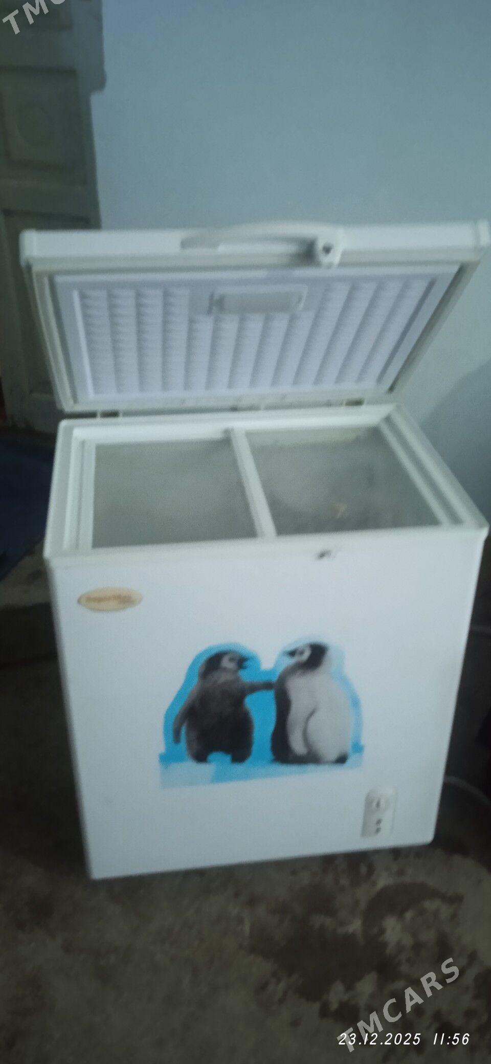 morozilnik - Гороглы (Тагта) - img 1