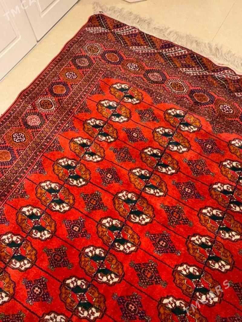 El haly Ковёр ручной работы - Aşgabat - img 1