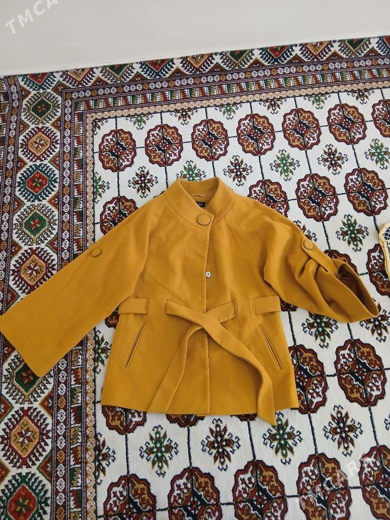 palto - Ашхабад - img 1