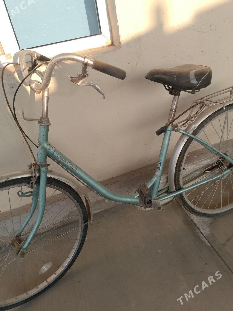 yapon tigir - Büzmeýin - img 1