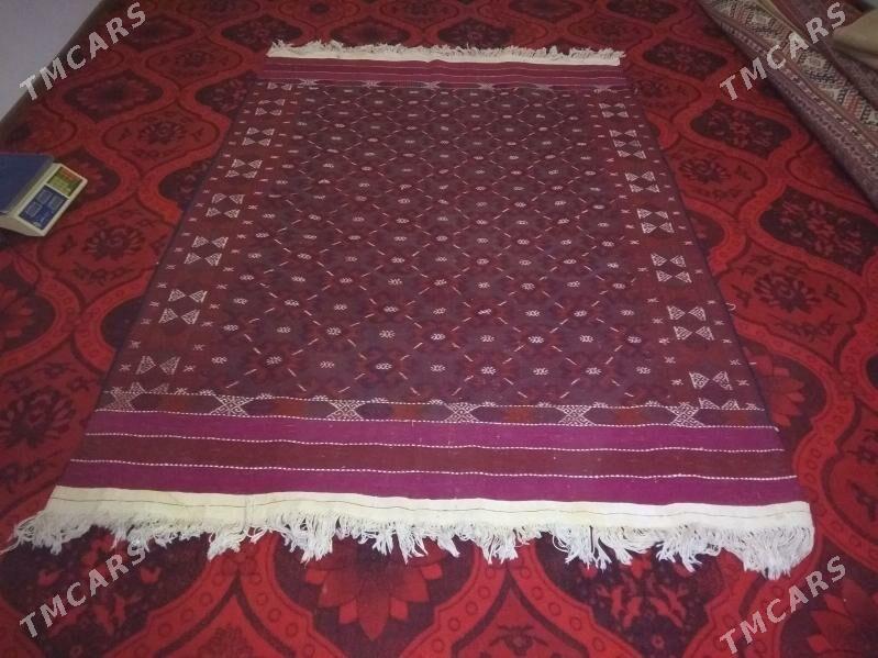 haly - Сакарчага - img 1