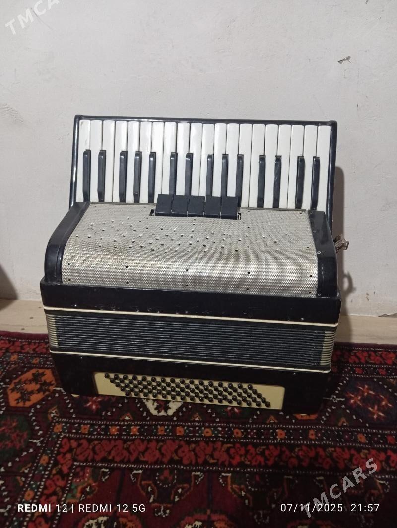 Akardeon oñşuk bar. - Köneürgenç - img 1