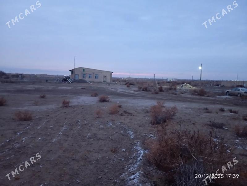 Satlyk Mellek - Чарджоу - img 1