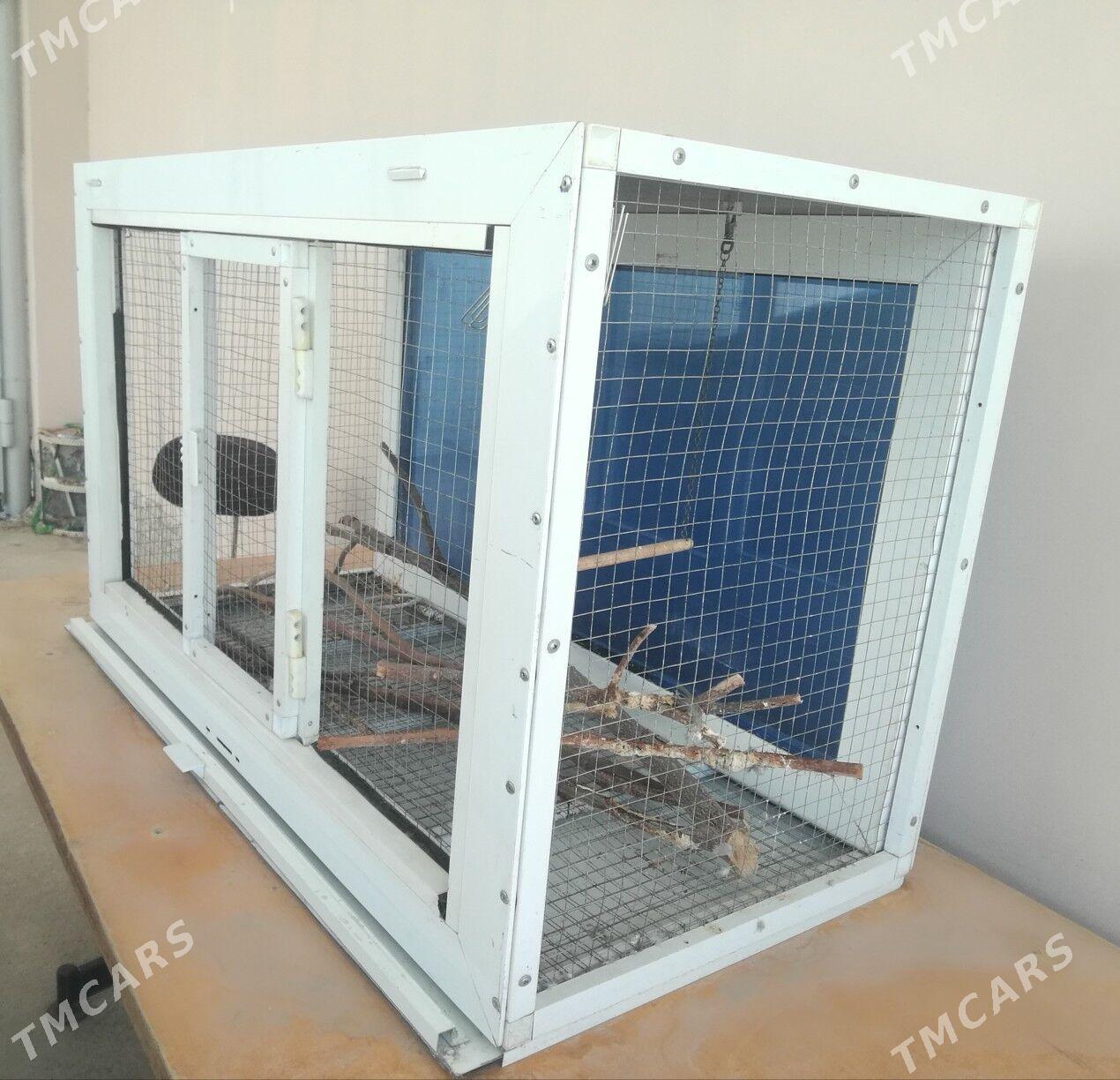 Kletka terarrium - Туркменабат - img 1