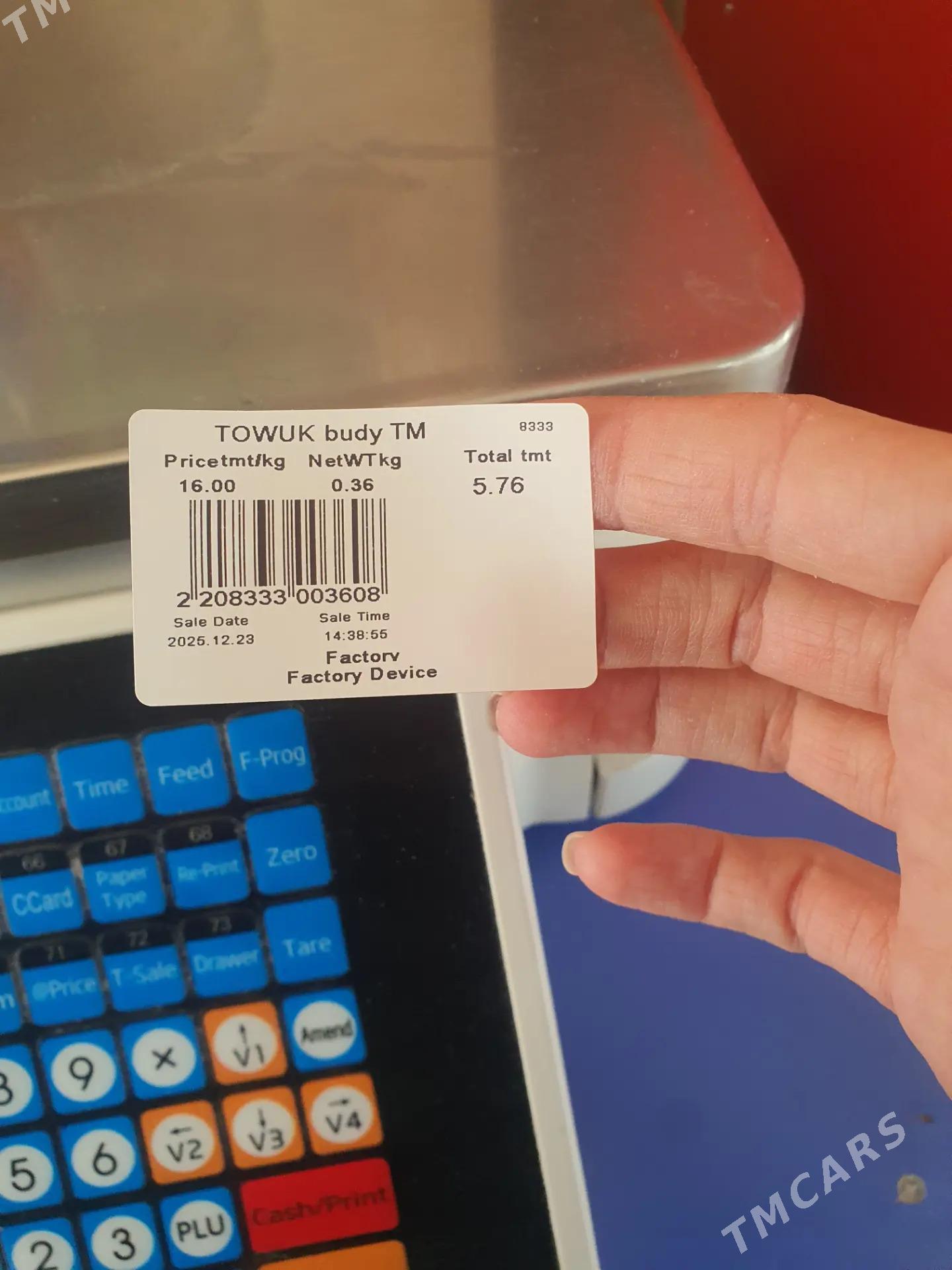 terezi - Aşgabat - img 1