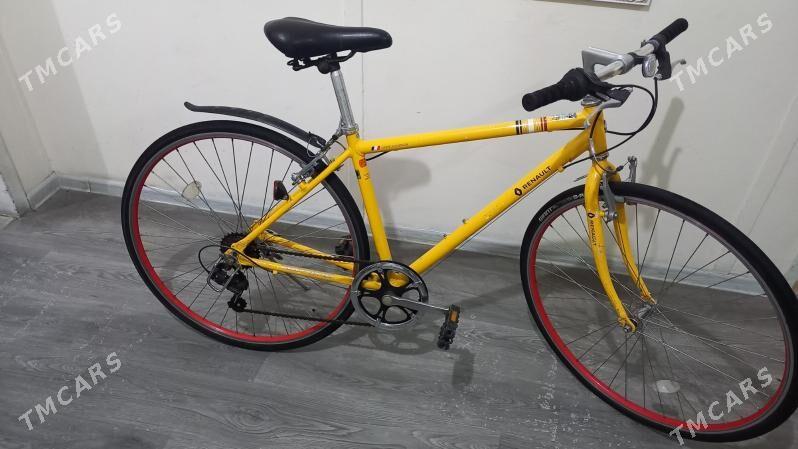 Tigir - Büzmeýin - img 1