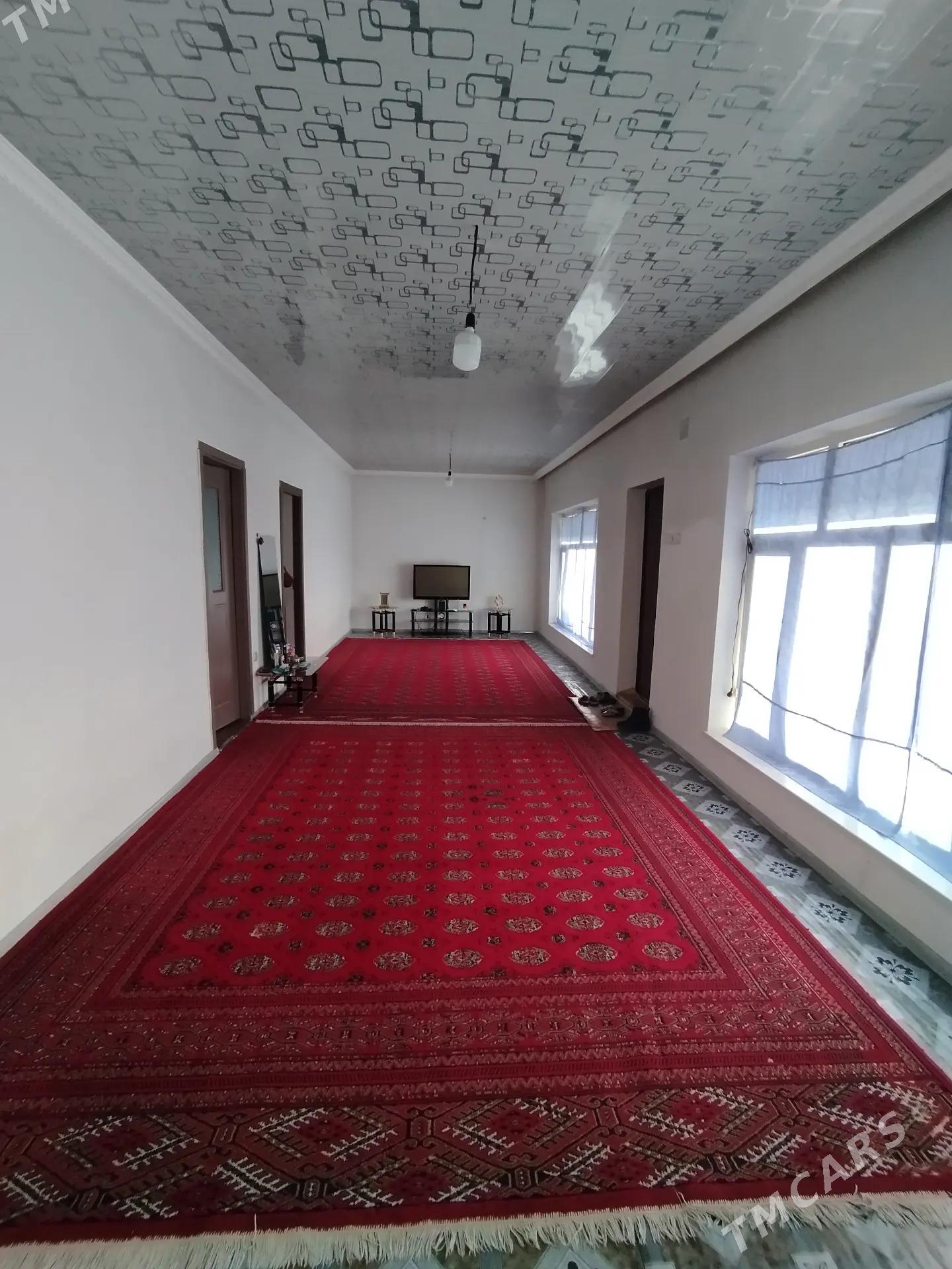 Gyssagly jay - Kaka - img 1