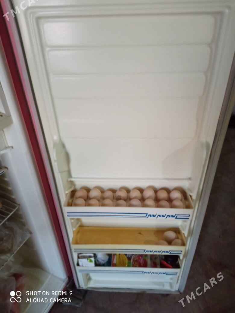 Cynar holodilnik. - Фарап - img 1