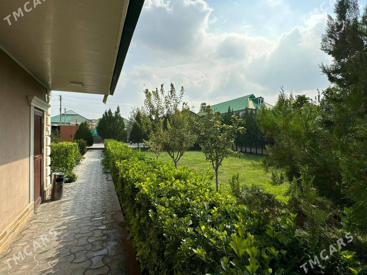 Багир Миреве 2 Дома - Багир - img 1