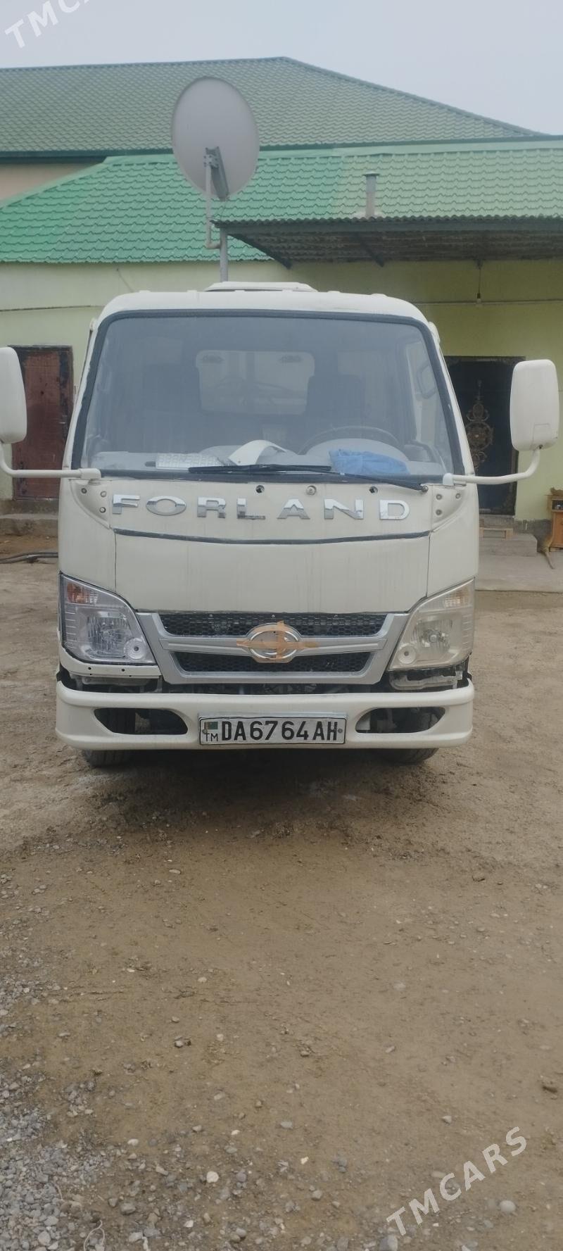 Forland H2 2011 - 65 000 TMT - Ak bugdaý etraby - img 1