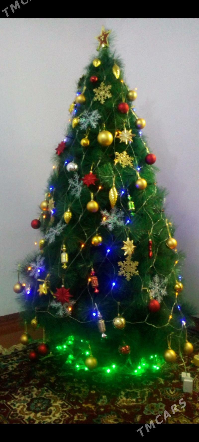 Yolka - Мары - img 1