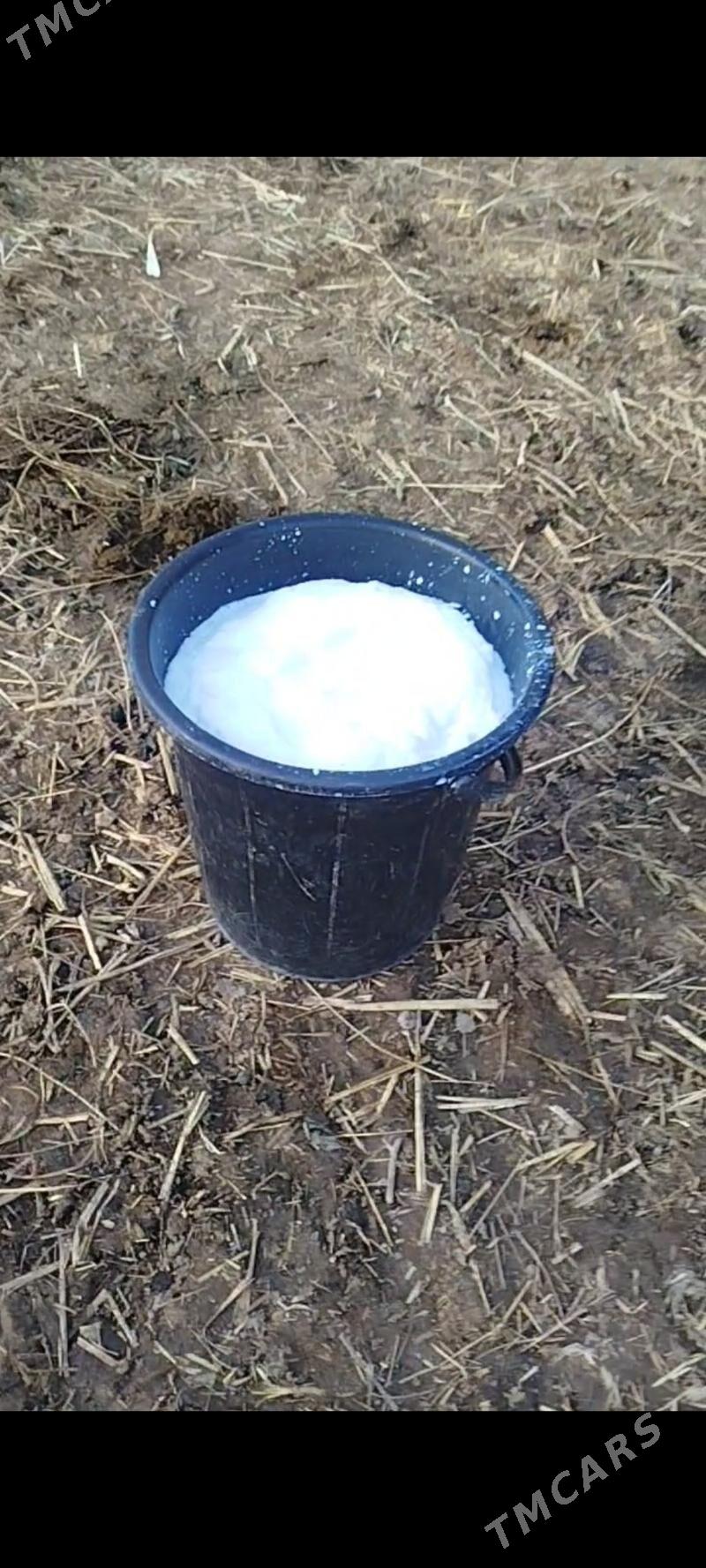 1 Guzlan şiwit sygyr - Bäherden - img 1