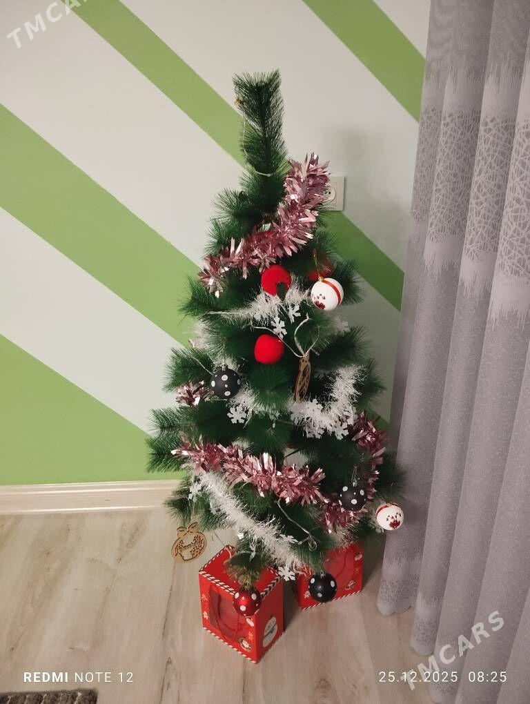 Yolka - Hazar - img 1