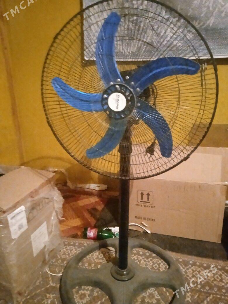 wiltilŷatyr - Анев - img 1