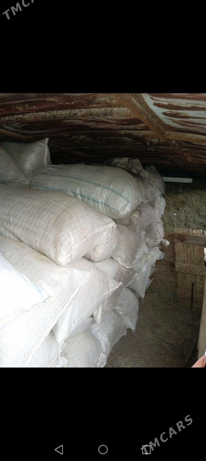 Yandak - Bereket - img 1