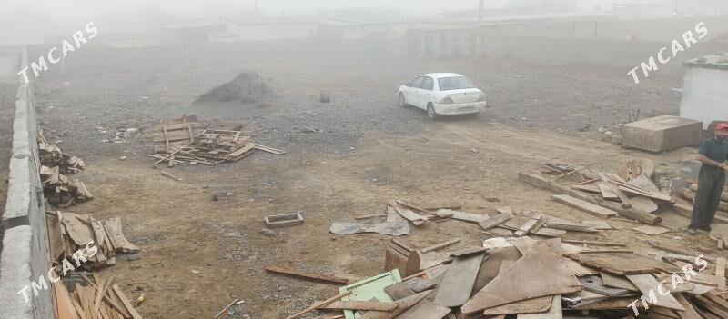 Talhanny yer - Бузмеин - img 1